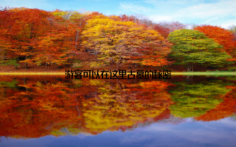 游客可以在这里古墓的秘密