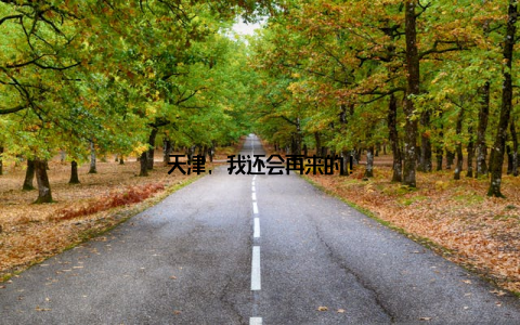 天津, 我还会再来的!