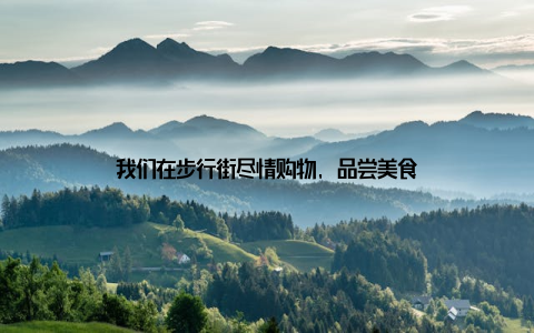 我们在步行街尽情购物, 品尝美食