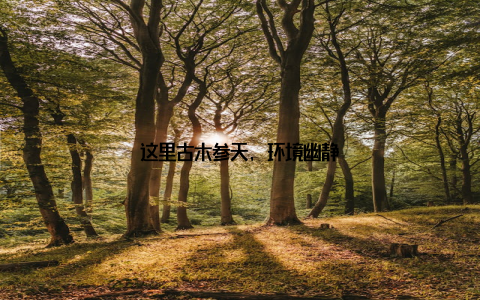 这里古木参天, 环境幽静