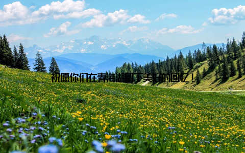 祝愿你们在青海湖留下美好的回忆!