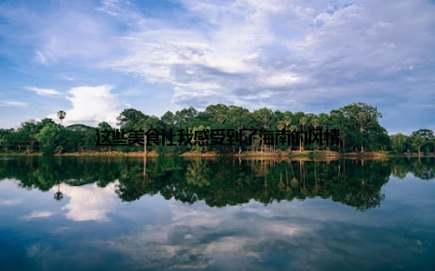 这些美食让我感受到了海南的风情