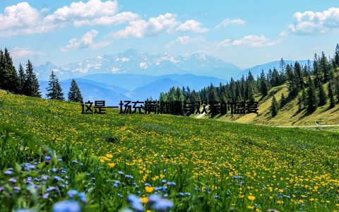 这是一场充满激情与欢笑的盛宴