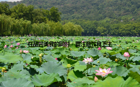 在品尝美食的同时, 要注意饮食卫生