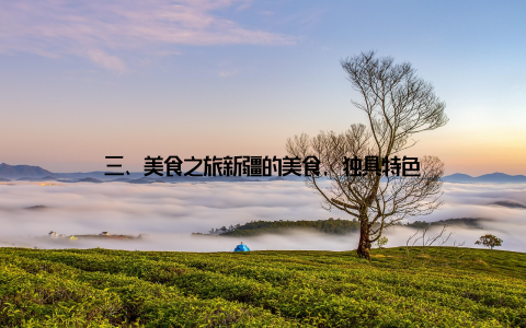 三、美食之旅新疆的美食, 独具特色