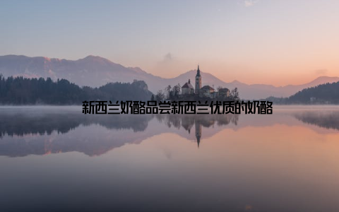 – 新西兰奶酪品尝新西兰优质的奶酪