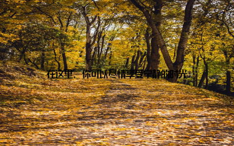 在这里, 你可以尽情享受宁静的时光