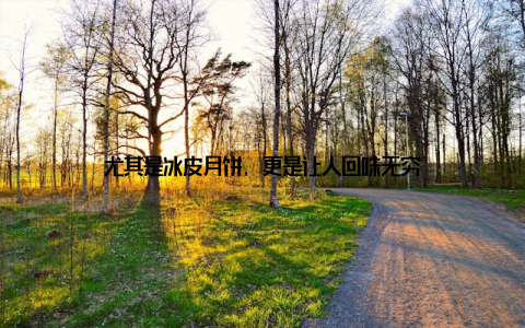 尤其是冰皮月饼, 更是让人回味无穷