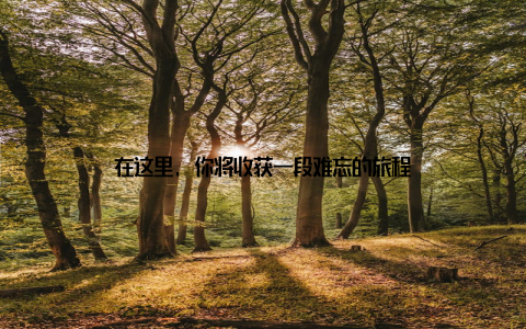 在这里, 你将收获一段难忘的旅程