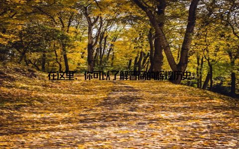 在这里, 你可以了解晋商的辉煌历史