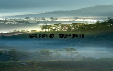 品尝地道小吃, 感受当地风情