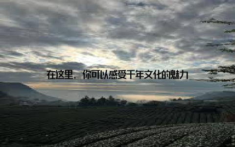 在这里, 你可以感受千年文化的魅力