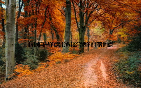 根据自己的需求选择合适的住宿地点