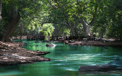 登楼远眺, 武汉三镇美景尽收眼底